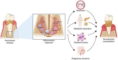 Obesity and periodontitis: a comprehensive review of their interconnected pathophysiology and clinical implications